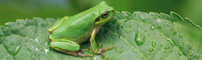 理念 切削油技術研究会 切技研